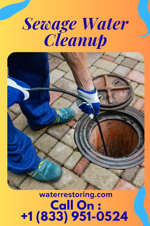 Sewage Water Cleanup in South Wallins, KY