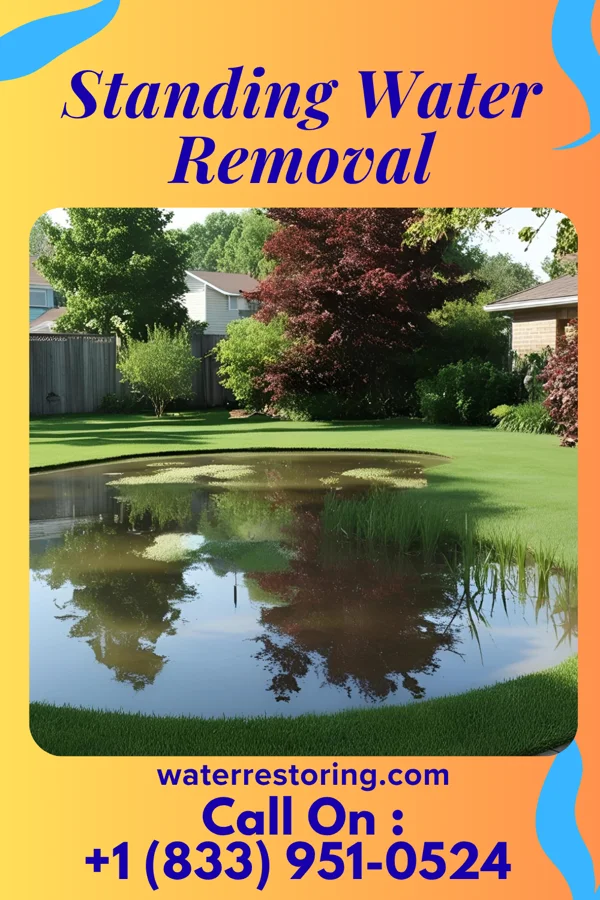 Standing Water Removal in South Wallins, KY